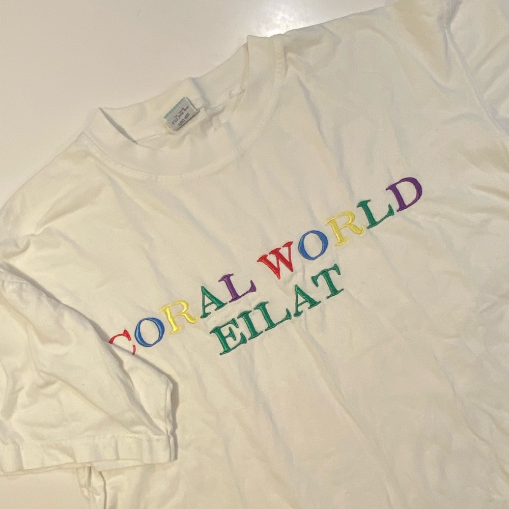 Vintage Rainbow Word Boxy Oversized Unisex T-Shirt